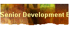 Senior Development Engineer