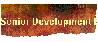 Senior Development Engineer