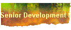 Senior Development Engineer